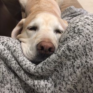 Meet your Posher, Maressa